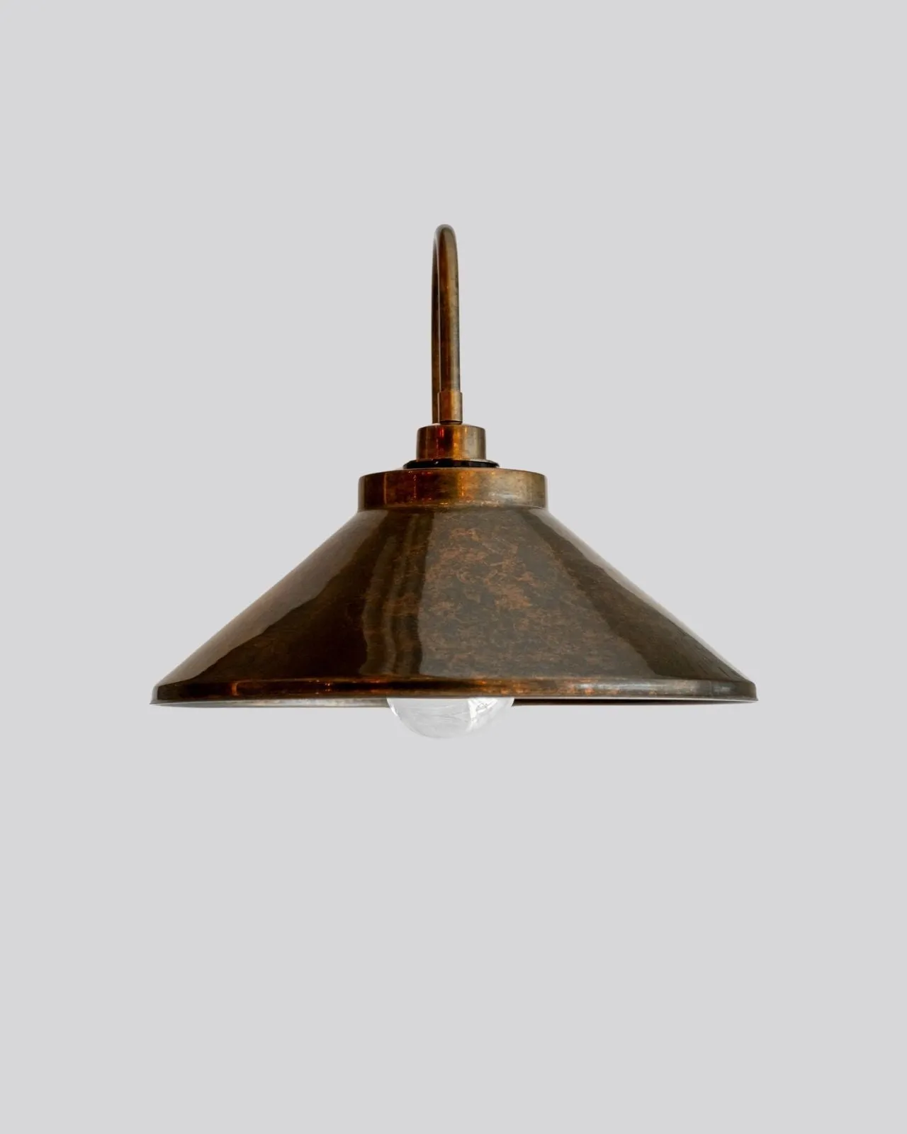 Antique Brass Gooseneck Wall Light