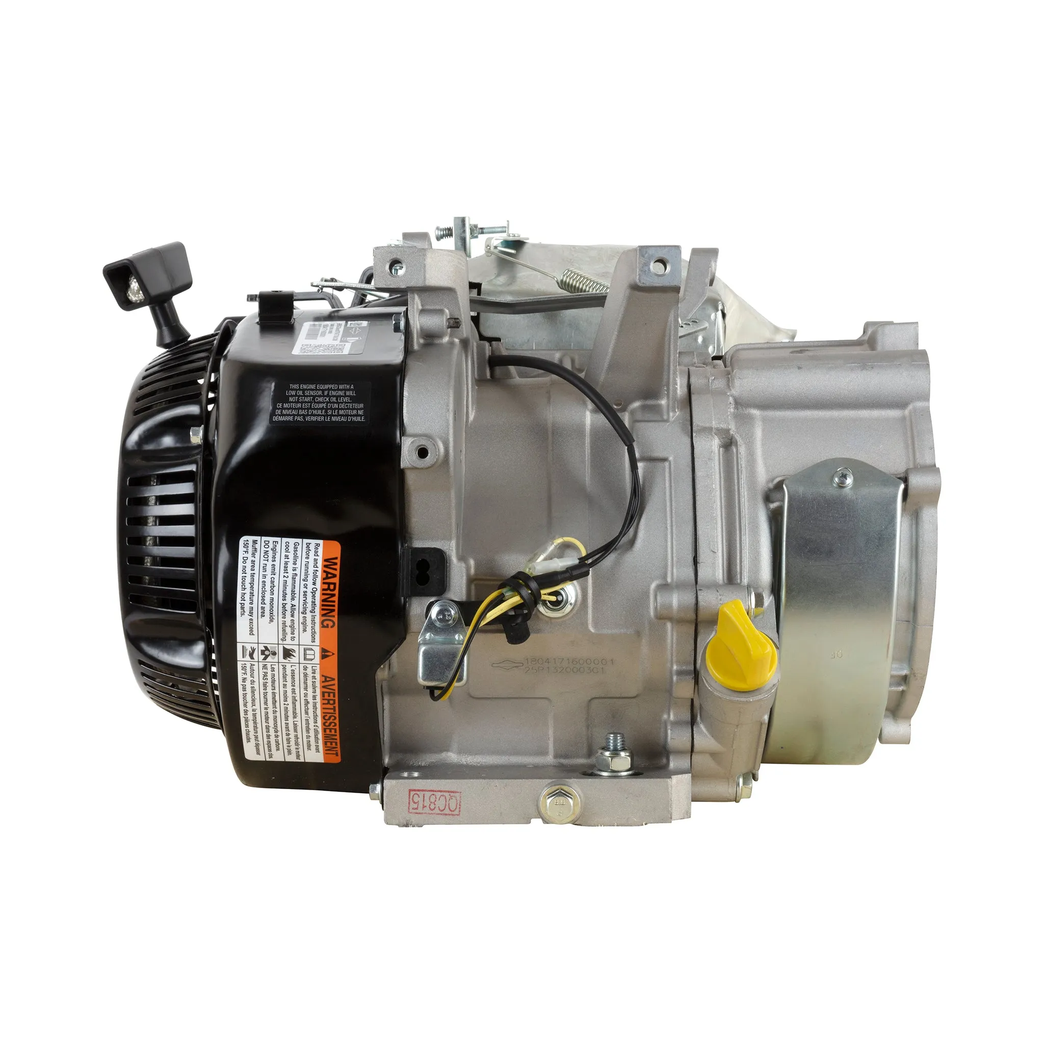 Briggs & Stratton - 25P132-0003-G1 - ENGINE PACKED SINGLE CARTON
